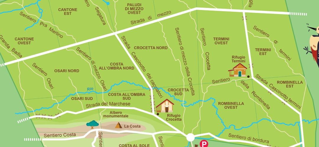 La Nuova Mappa del Bosco