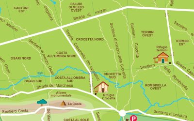La Nuova Mappa del Bosco